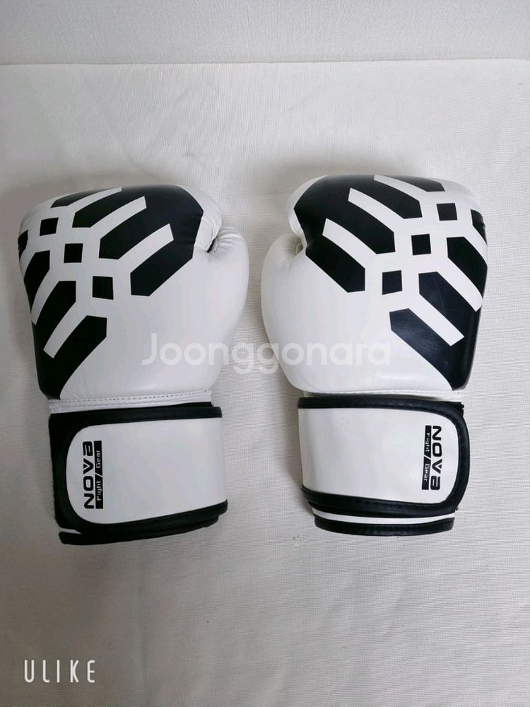 고등 / 성인 백 글러브 (미사용)--1