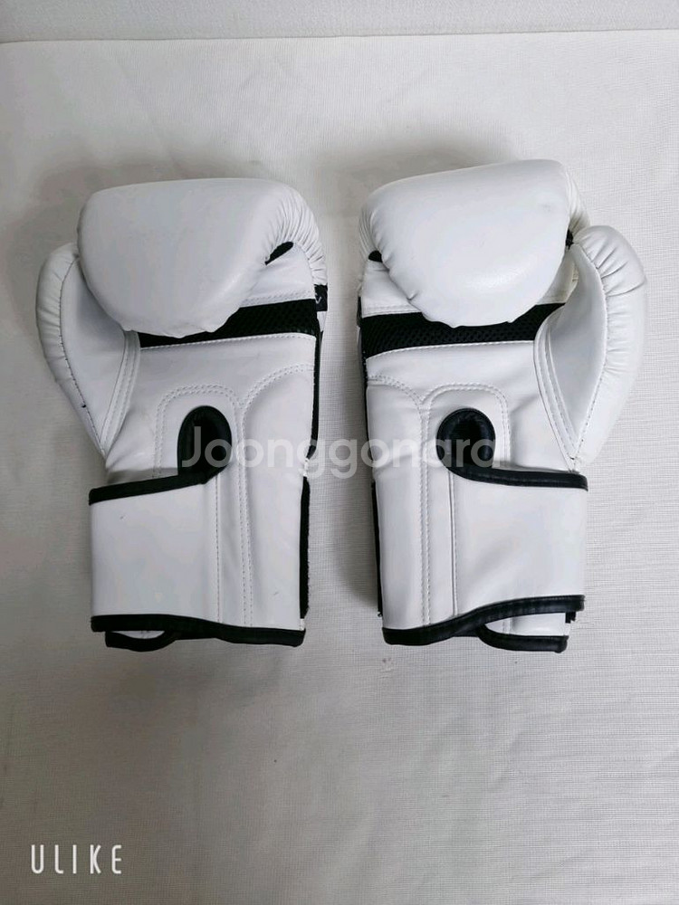 고등 / 성인 백 글러브 (미사용)--2