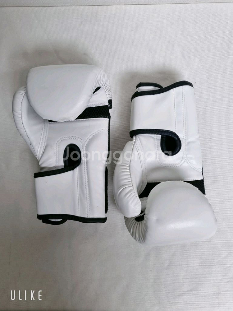 고등 / 성인 백 글러브 (미사용)--3