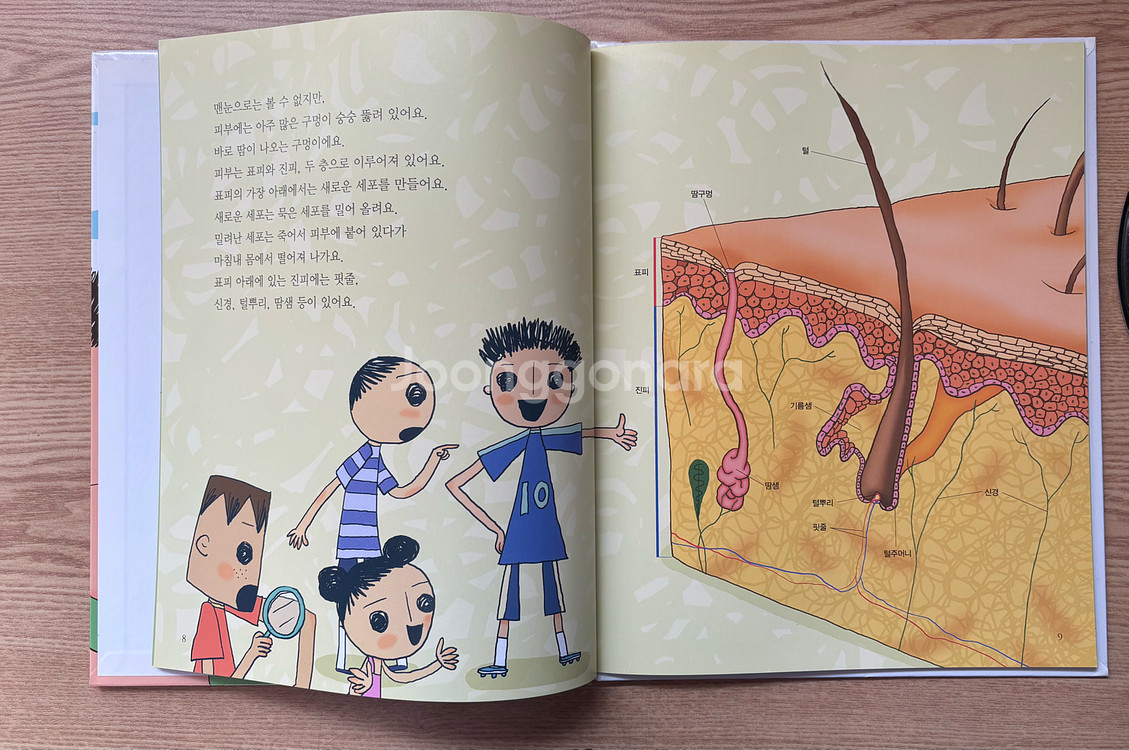 그레이트북스 스마트 원리과학--4
