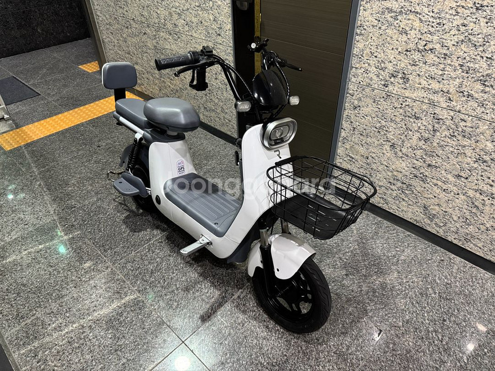 레이윙 디스커버리 프레시 S10 전기자전거--0