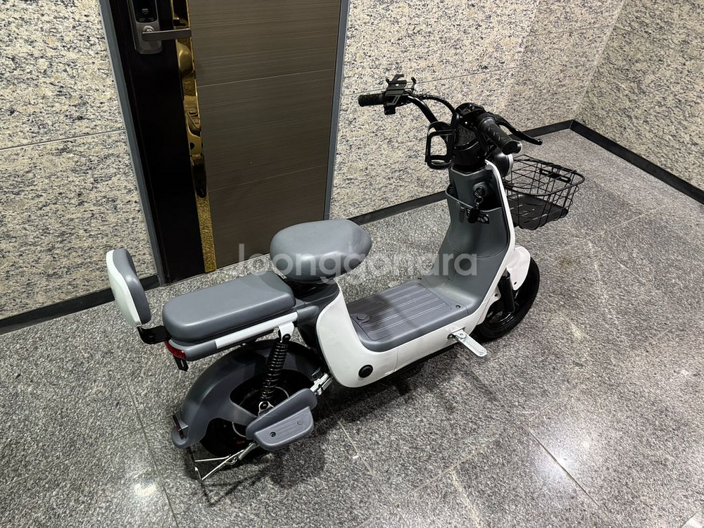 레이윙 디스커버리 프레시 S10 전기자전거--1