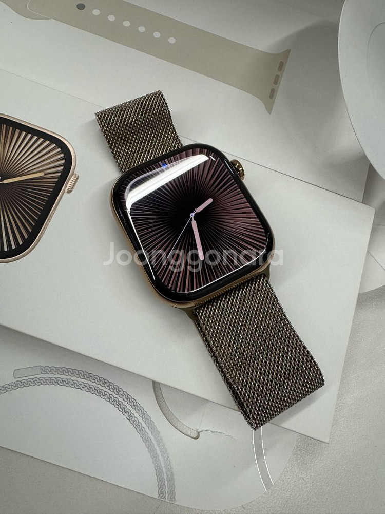 애플워치10 46mm 티타늄 골드 밀레니즈루프--0