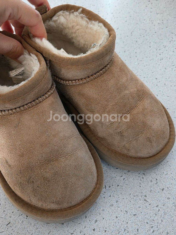 호주어그키즈--0