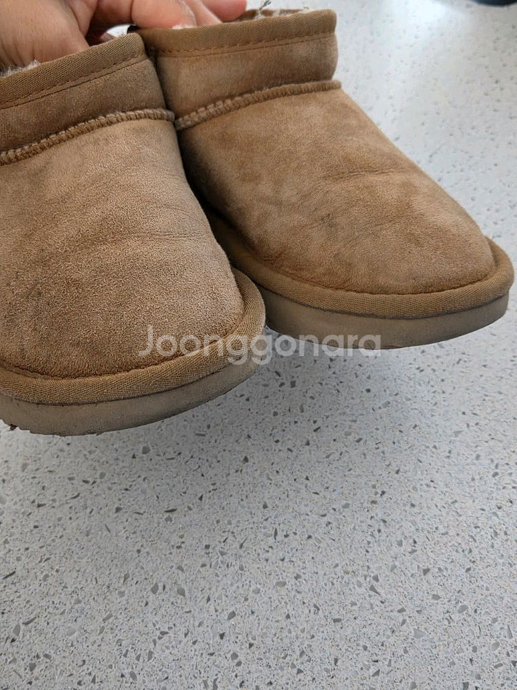 호주어그키즈--1