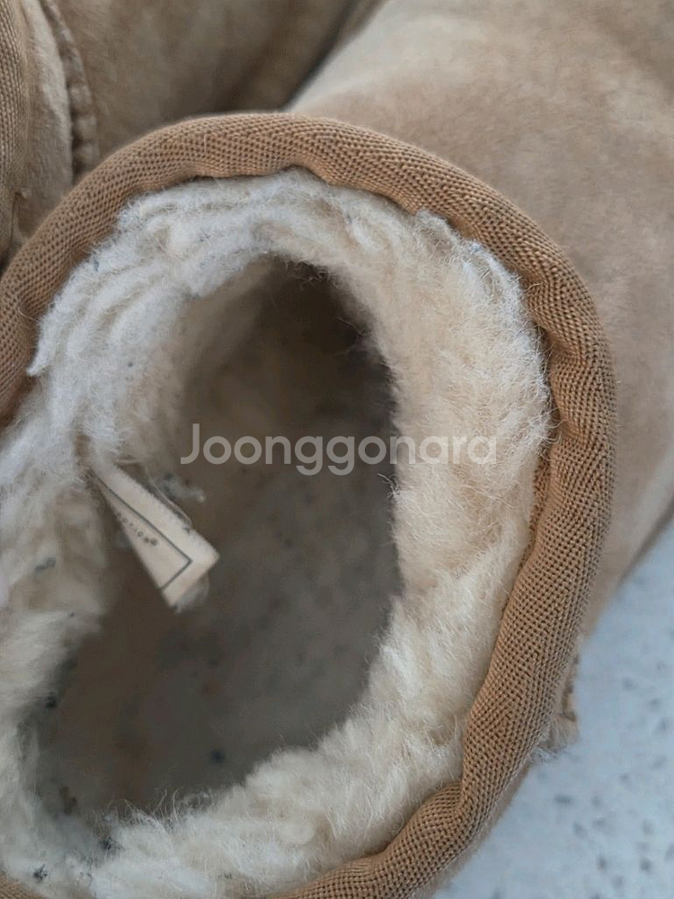 호주어그키즈--4