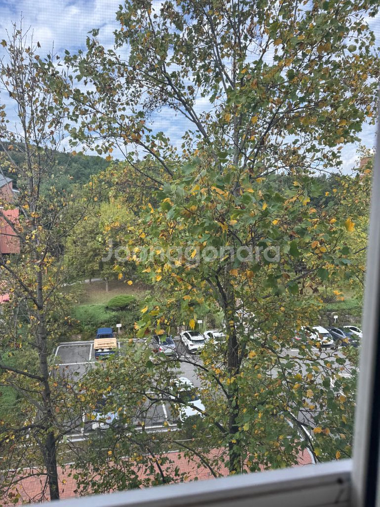 갤러리아몰 75% 판매--0