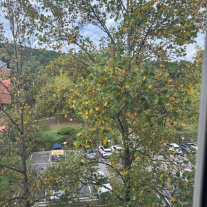 갤러리아몰 75% 판매