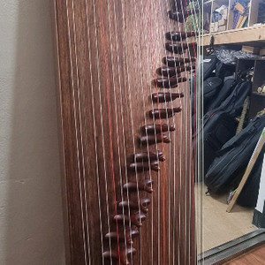 전문가용 25현 가야금