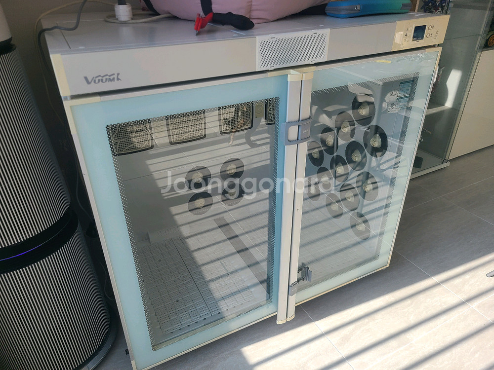 붐펫 W400--0