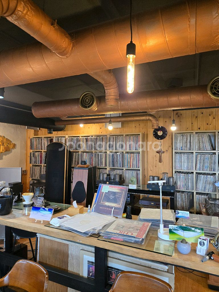 David Lee Roth.a little aint e--3