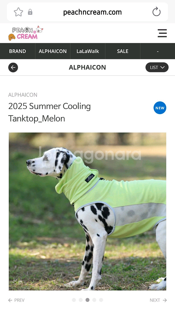 알파아이콘 팅크탑과 스누드 세트--4