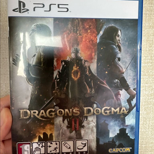PS5 드래곤즈 도그마 2