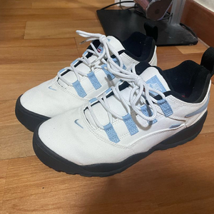 나이키 x 슈프림 SB 다윈 로우 화이트 275