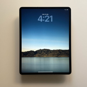 아이패드 프로 4세대 12.9인치 셀룰러 256G 실버