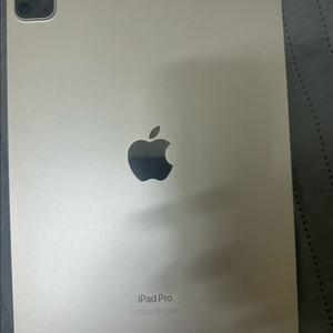 아이패드 프로 4세대 11인치 128GB 상태 S급 급