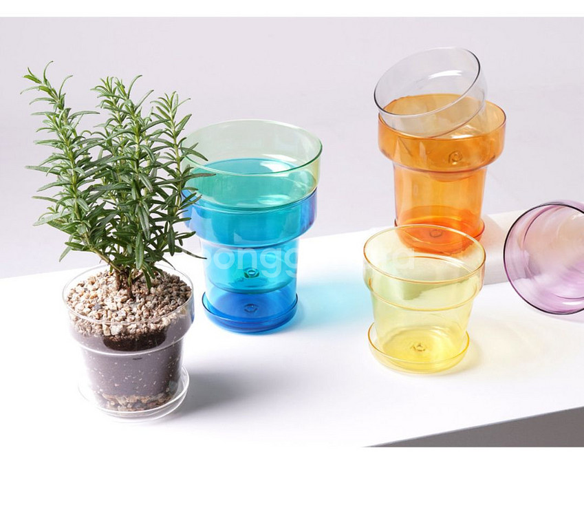 데팡스 투명 화분--1