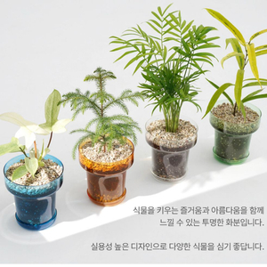 데팡스 투명 화분