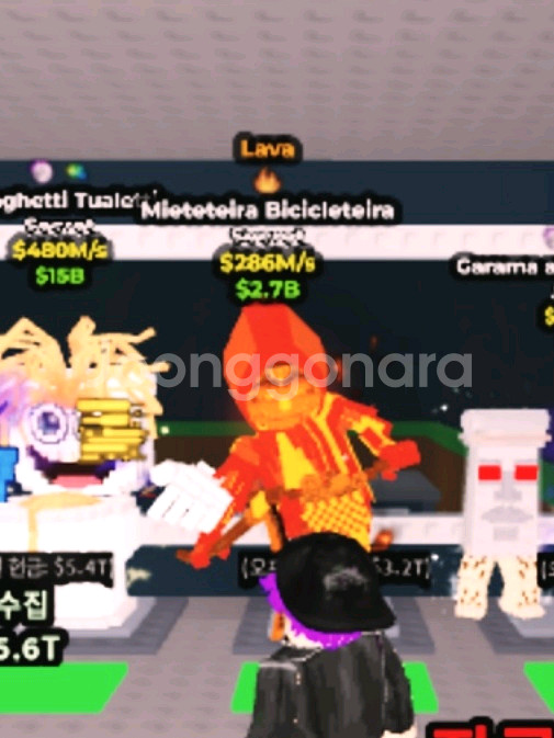 브훔 라바 사신치클--0