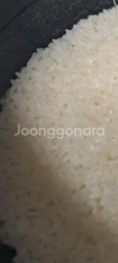 쿠쿠10인용 압력밥솥--1