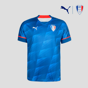 수원 삼성 블루윙즈 2023 홈 반팔