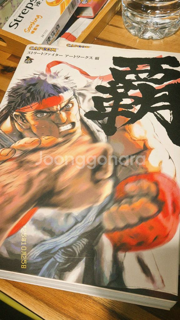 스트리트 파이터 아트웍스--0