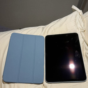 9월구매 아이패드 미니 7세대 셀룰러 256 애캐플