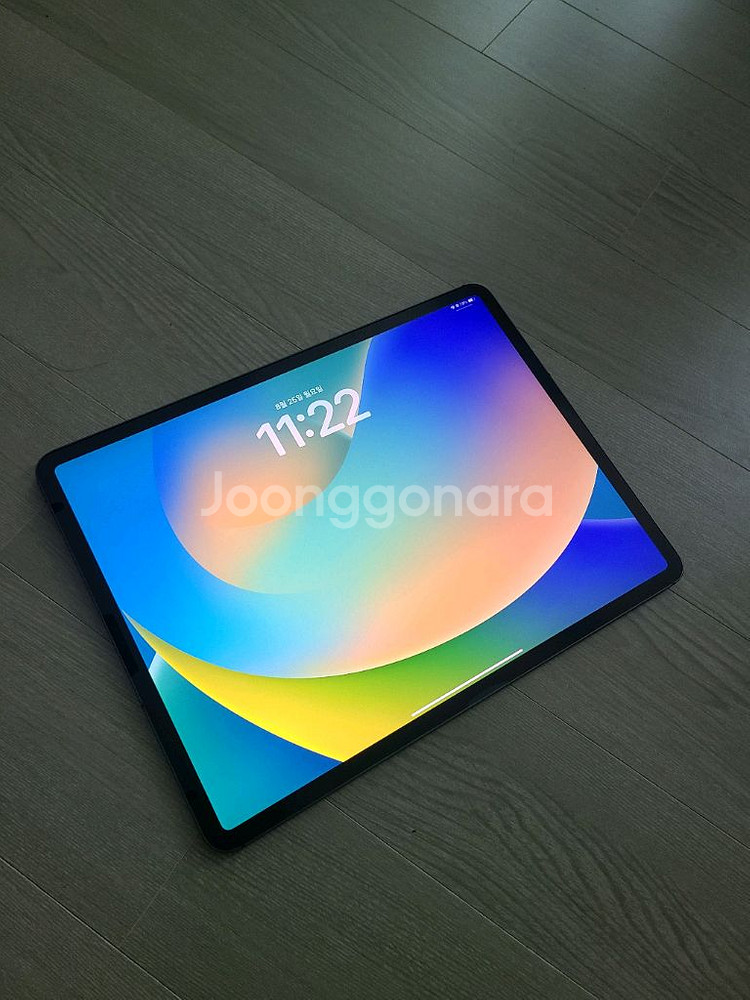 아이패드 프로 12.9(3세대) 256GB 셀룰러 +--2