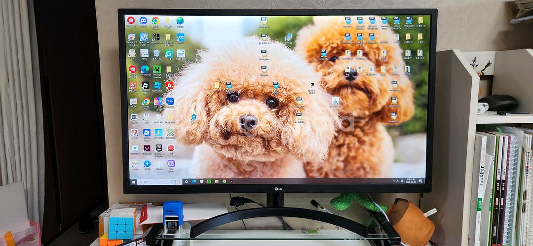 LG 32인치 모니터 32MN500M--0