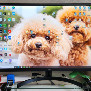 LG 32인치 모니터 32MN500M