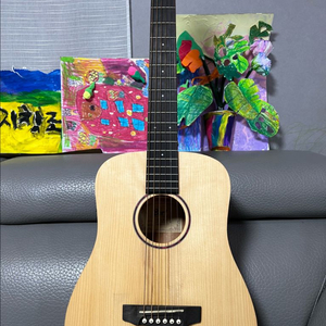 콜트 어스미니 아디론닥e 미니기타