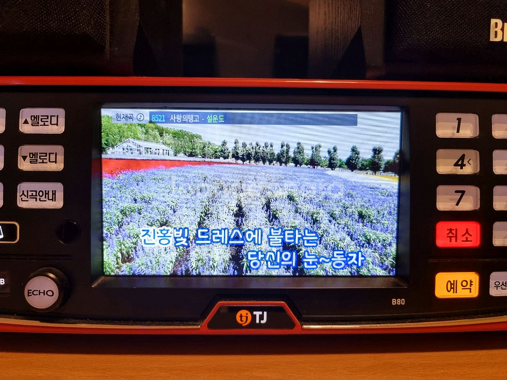 TJ 가정용 노래방 기기 B80 + Britz 스피커--2