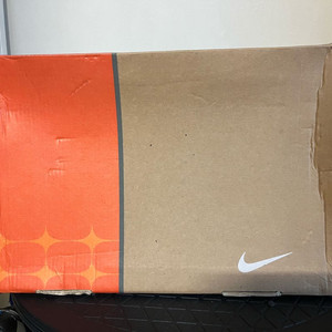 Nike Dunk Low CL 304714441