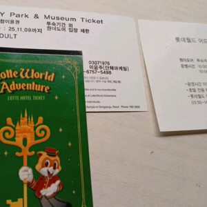 롯데월드 종일입장권