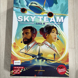 보드게임 스카이팀