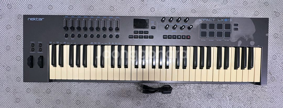 넥타 LX61+ 마스터건반 NECTAR IMPACT L--0