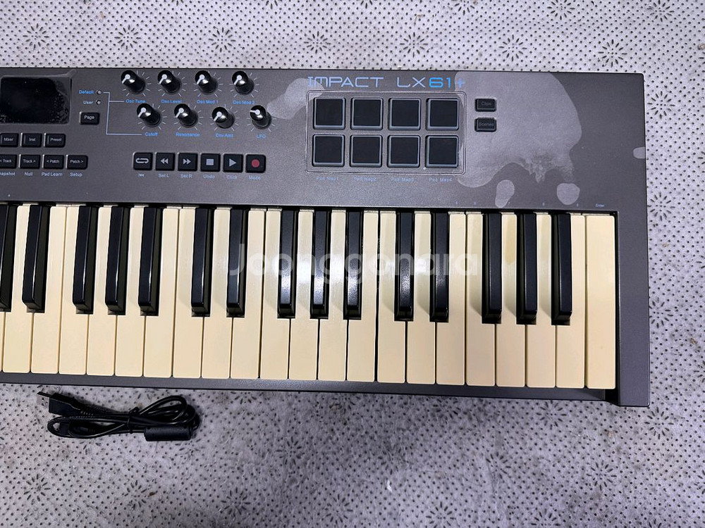 넥타 LX61+ 마스터건반 NECTAR IMPACT L--1