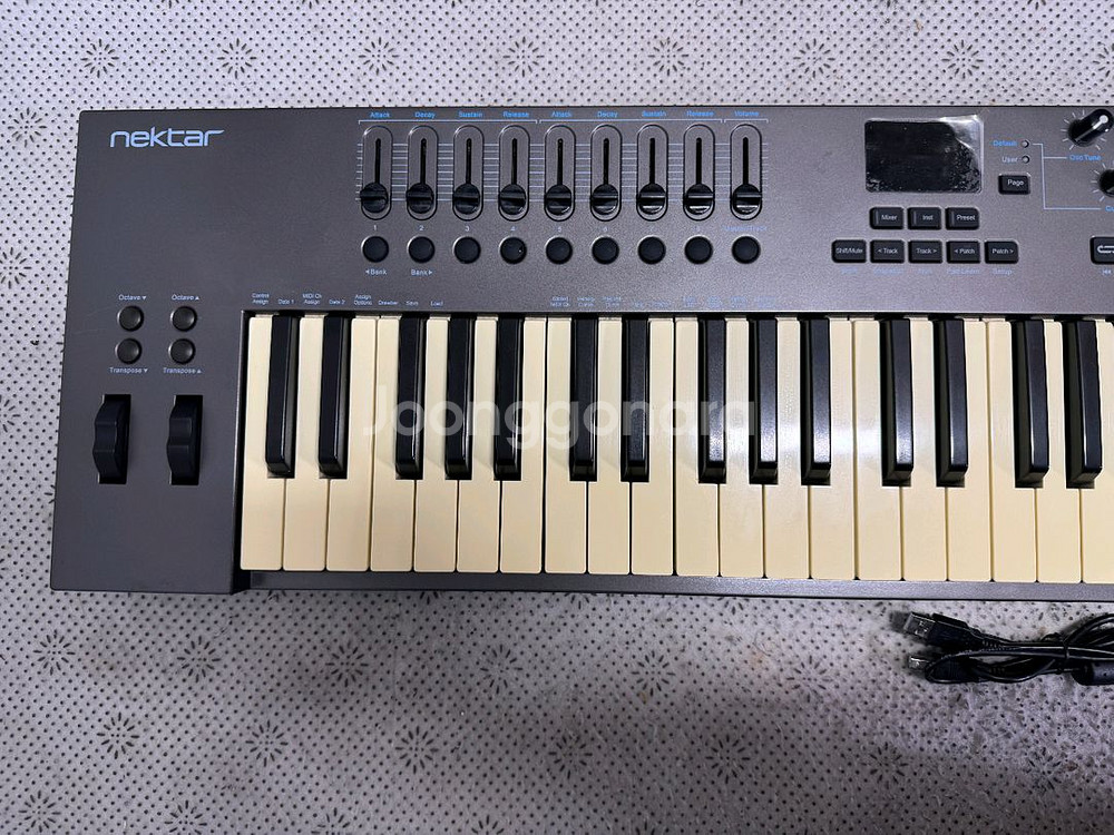 넥타 LX61+ 마스터건반 NECTAR IMPACT L--2