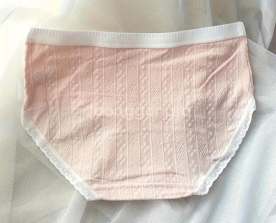 팬티--1