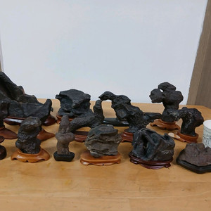 수석 ( 수입석 )