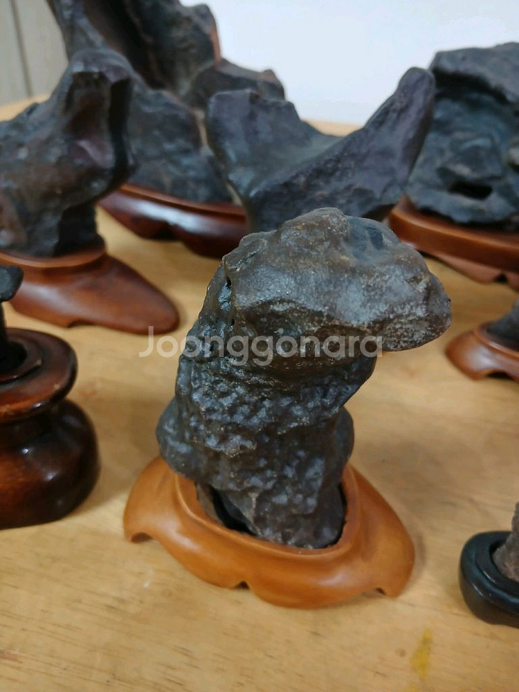 수석 ( 수입석 )--4