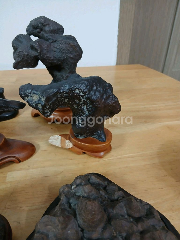 수석 ( 수입석 )--3