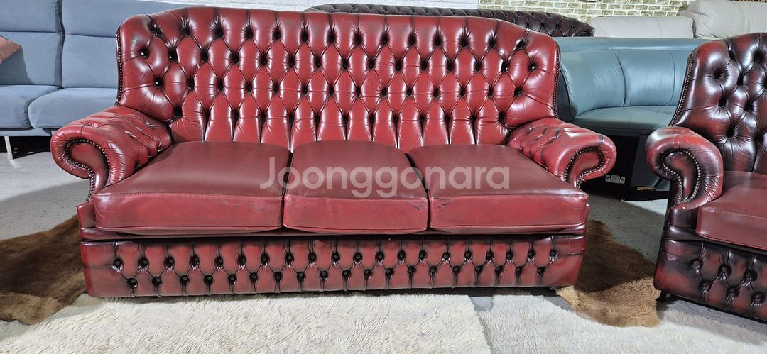 영국 체스터필드 최고급 전체 천연가죽 3+1+1인소파--3