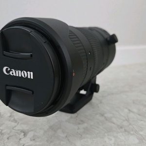 RF24-105mm F2.8 L IS USM