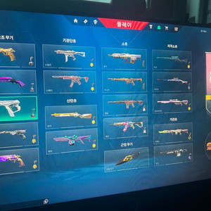 발로란트 계정 2022, 2023챔피언스, VCT 자비