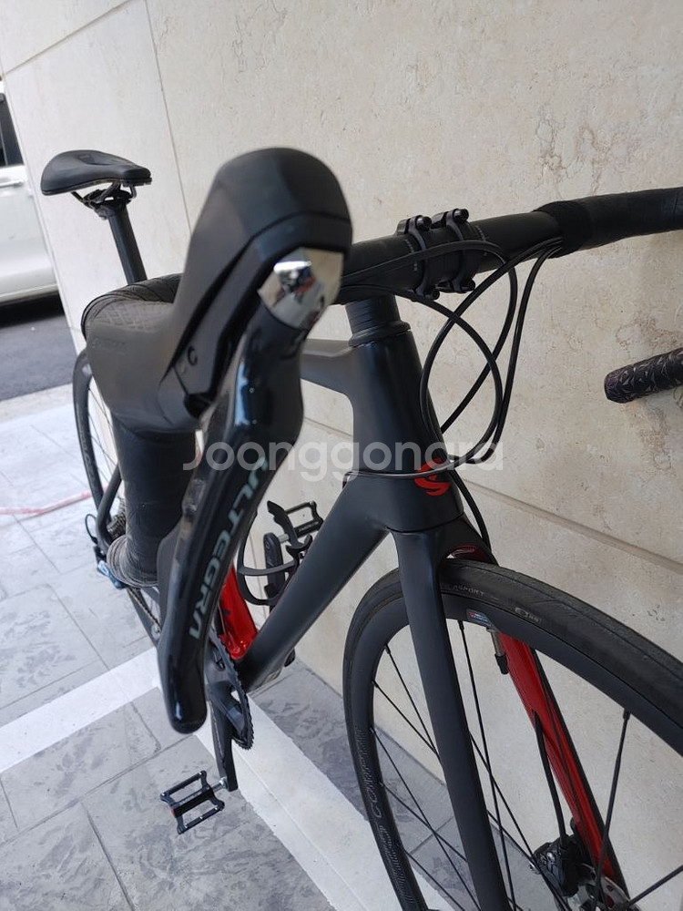 21년 첼로 케인d8 울테그라 카본 디스크 로드자전거--5