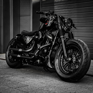 할리데이비슨 아이언883 반스구변 팝니다