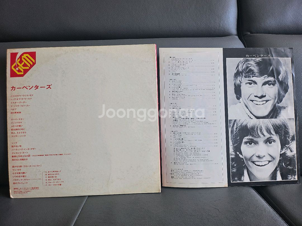 Carpenters 카펜터스 2LP--1