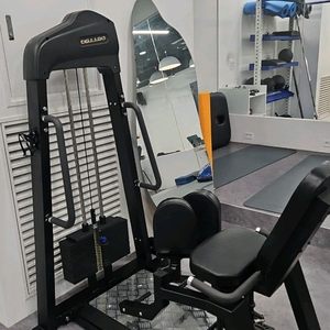 레그프레스, 이너아웃타이머신(이글이글)