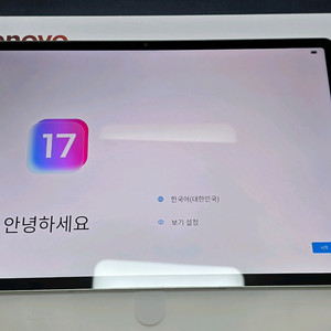 레노버 아이디어패드 프로 12.7 256G 그린 정발